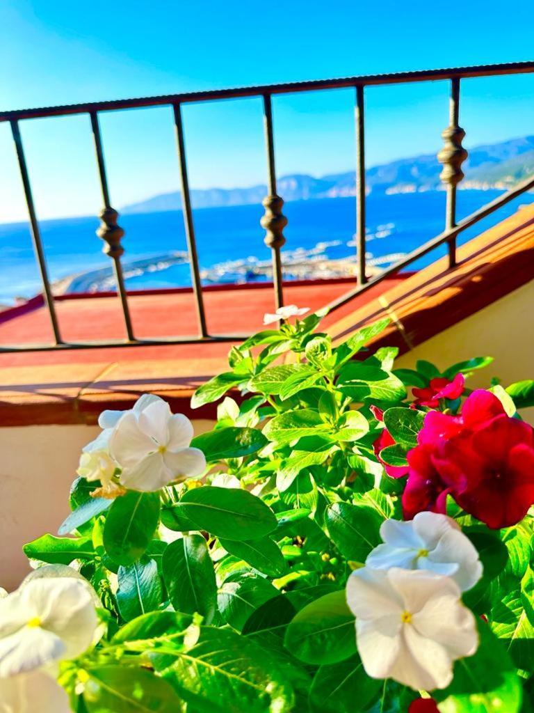 Apartament Cala Gonone House Zewnętrze zdjęcie